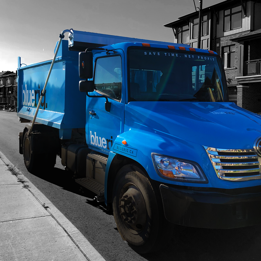 BLUERIG